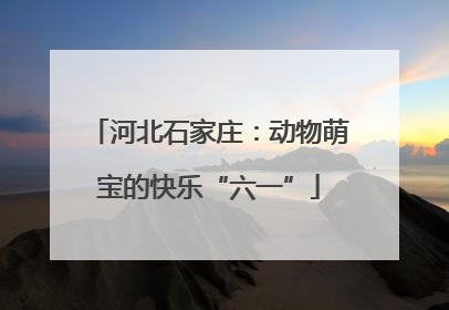 河北石家庄：动物萌宝的快乐“六一”