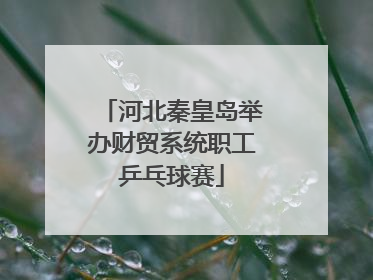 河北秦皇岛举办财贸系统职工乒乓球赛