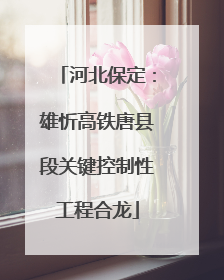 河北保定：雄忻高铁唐县段关键控制性工程合龙