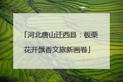 河北唐山迁西县：板栗花开飘香文旅新画卷