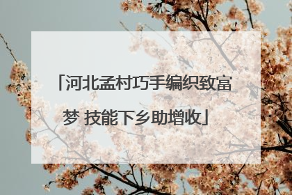 河北孟村巧手编织致富梦 技能下乡助增收