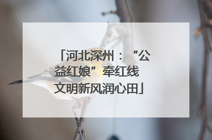 河北深州：“公益红娘”牵红线 文明新风润心田
