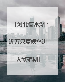 河北衡水湖：近万只夏候鸟进入繁殖期