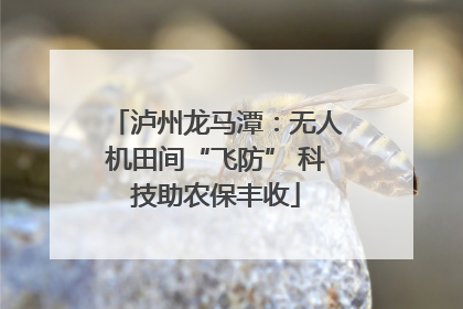 泸州龙马潭：无人机田间“飞防” 科技助农保丰收