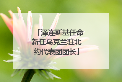 泽连斯基任命新任乌克兰驻北约代表团团长