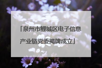 泉州市鲤城区电子信息产业链党委揭牌成立