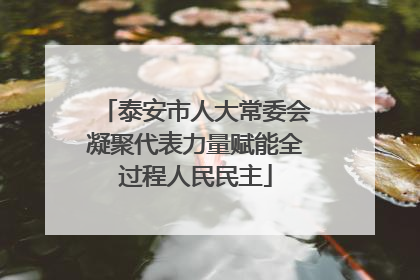泰安市人大常委会凝聚代表力量赋能全过程人民民主