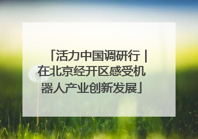 活力中国调研行｜在北京经开区感受机器人产业创新发展