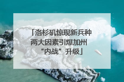 洛杉矶惊现新兵种 两大因素引爆加州“内战”升级
