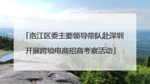洛江区委主要领导带队赴深圳开展跨境电商招商考察活动