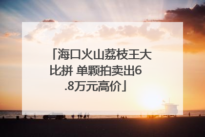 海口火山荔枝王大比拼 单颗拍卖出6.8万元高价