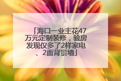 海口一业主花47万元定制装修，验房发现仅多了2样家电、2面背景墙