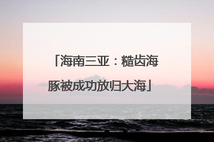 海南三亚：糙齿海豚被成功放归大海
