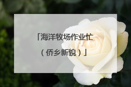 海洋牧场作业忙（侨乡新貌）