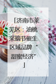 济南市莱芜区：油桃采摘节催生区域品牌“甜蜜经济”