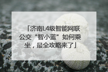 济南L4级智能网联公交“智小蓝”如何乘坐，最全攻略来了