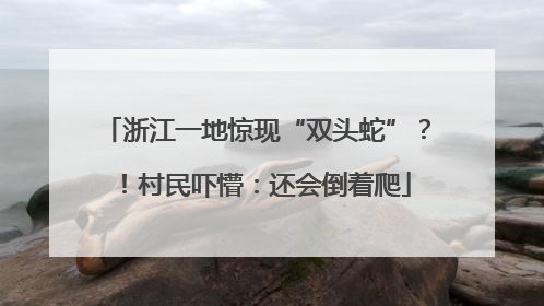 浙江一地惊现“双头蛇”？！村民吓懵：还会倒着爬