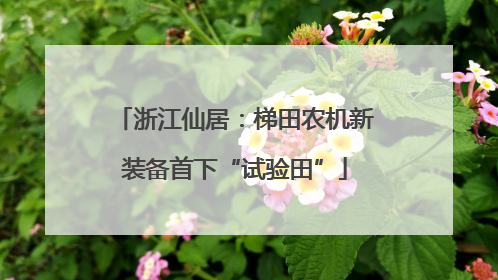 浙江仙居：梯田农机新装备首下“试验田”