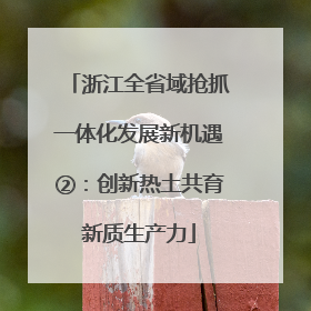 浙江全省域抢抓一体化发展新机遇②：创新热土共育新质生产力