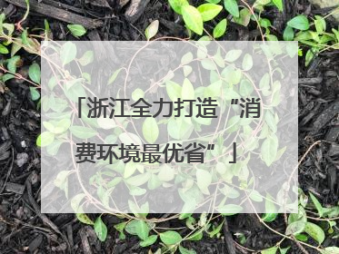 浙江全力打造“消费环境最优省”