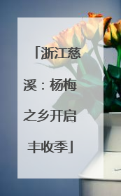浙江慈溪：杨梅之乡开启丰收季