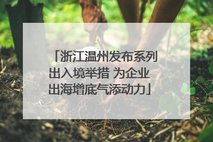 浙江温州发布系列出入境举措 为企业出海增底气添动力