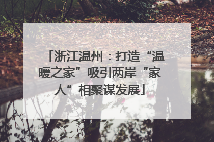 浙江温州：打造“温暖之家”吸引两岸“家人”相聚谋发展