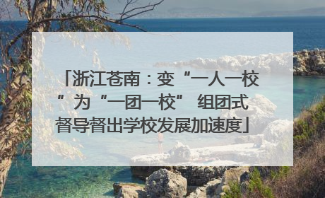 浙江苍南：变“一人一校”为“一团一校” 组团式督导督出学校发展加速度