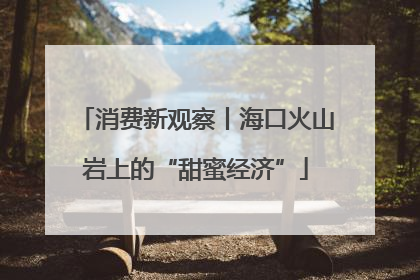 消费新观察丨海口火山岩上的“甜蜜经济”