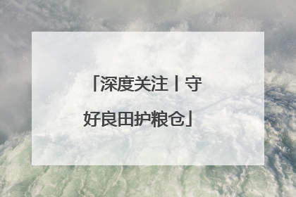 深度关注丨守好良田护粮仓