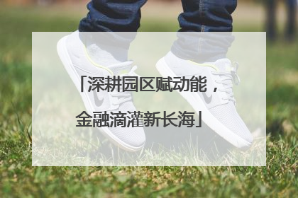 深耕园区赋动能，金融滴灌新长海