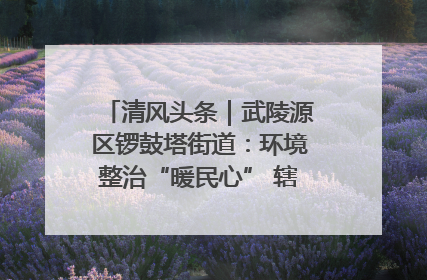 清风头条｜武陵源区锣鼓塔街道：环境整治“暖民心” 辖区面貌“靓”起来