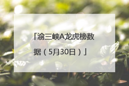 渝三峡A龙虎榜数据（5月30日）
