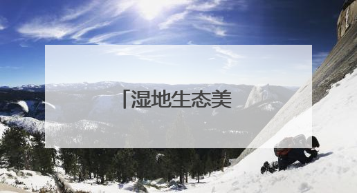 湿地生态美 夏日麋鹿欢