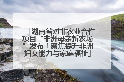 湖南省对非农业合作项目“非洲母亲新农场”发布！聚焦提升非洲妇女能力与家庭福祉