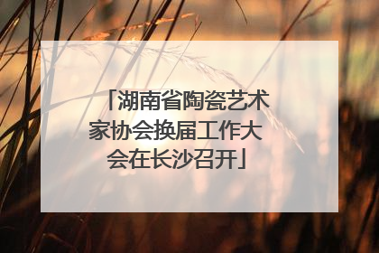 湖南省陶瓷艺术家协会换届工作大会在长沙召开