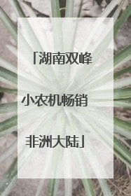湖南双峰小农机畅销非洲大陆
