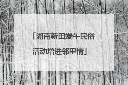 湖南新田端午民俗活动增进邻里情