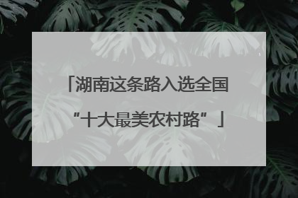 湖南这条路入选全国“十大最美农村路”