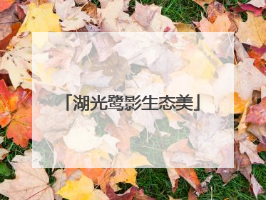 湖光鹭影生态美