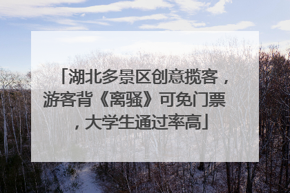 湖北多景区创意揽客，游客背《离骚》可免门票，大学生通过率高