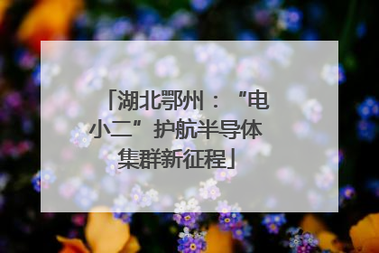 湖北鄂州：“电小二”护航半导体集群新征程