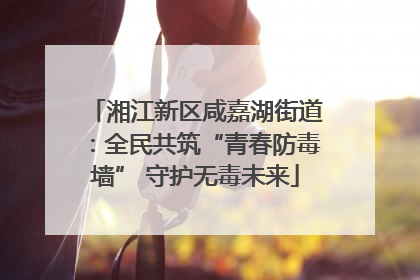 湘江新区咸嘉湖街道：全民共筑“青春防毒墙” 守护无毒未来
