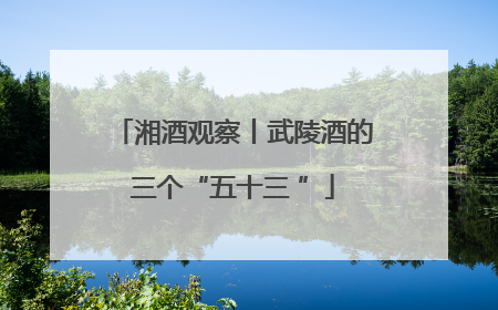 湘酒观察丨武陵酒的三个“五十三 ”