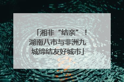 湘非“结亲”！湖南八市与非洲九城缔结友好城市
