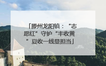 滕州龙阳镇：“志愿红”守护“丰收黄”夏收一线显担当