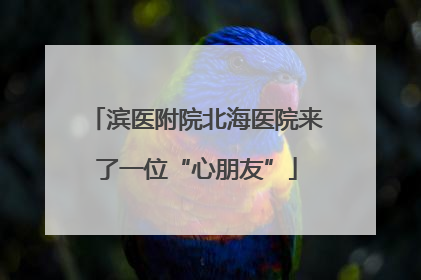 滨医附院北海医院来了一位“心朋友”