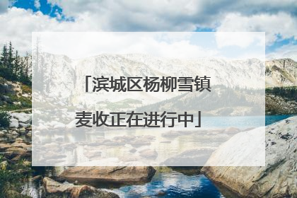 滨城区杨柳雪镇麦收正在进行中