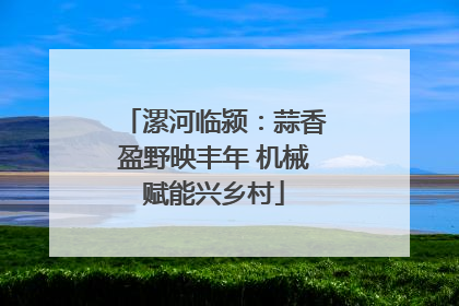 漯河临颍：蒜香盈野映丰年 机械赋能兴乡村