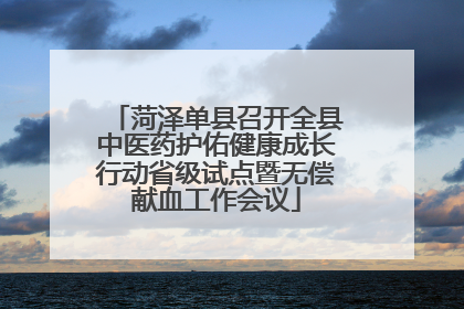 菏泽单县召开全县中医药护佑健康成长行动省级试点暨无偿献血工作会议